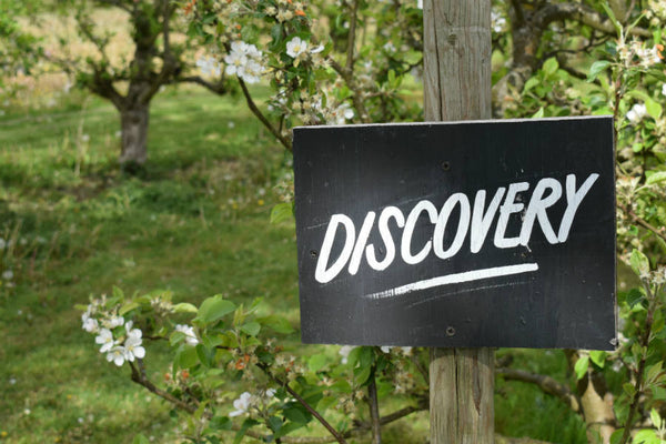 Our Orchards